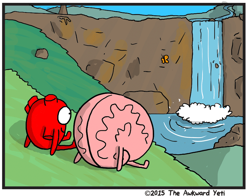 https://cdn.tinyview.com/heart-and-brain/2026/05/24/nature/2.png