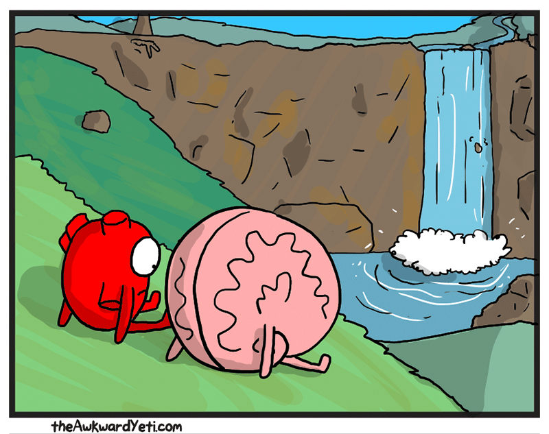 https://cdn.tinyview.com/heart-and-brain/2026/05/24/nature/3.png