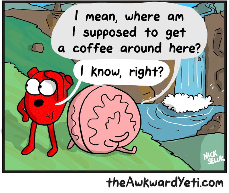 https://cdn.tinyview.com/heart-and-brain/2026/05/24/nature/6.png
