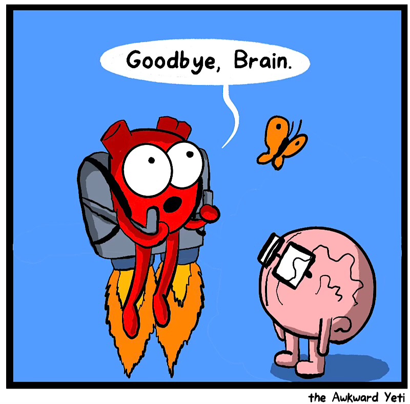 https://cdn.tinyview.com/heart-and-brain/2026/05/26/escape/IMG_5254-compressed.jpeg