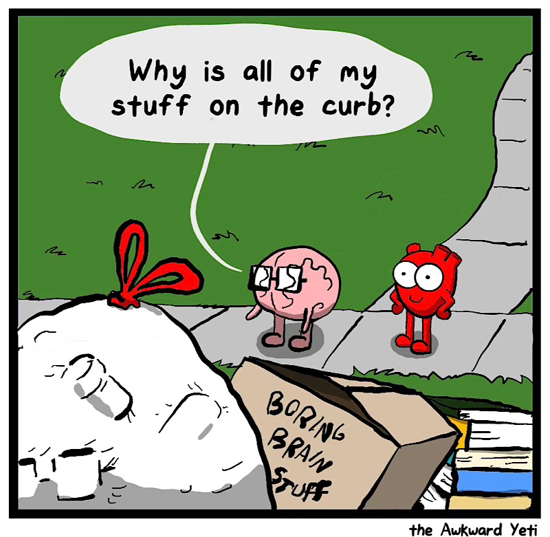 https://cdn.tinyview.com/heart-and-brain/2026/05/26/starting-over/IMG_5240-compressed.jpeg