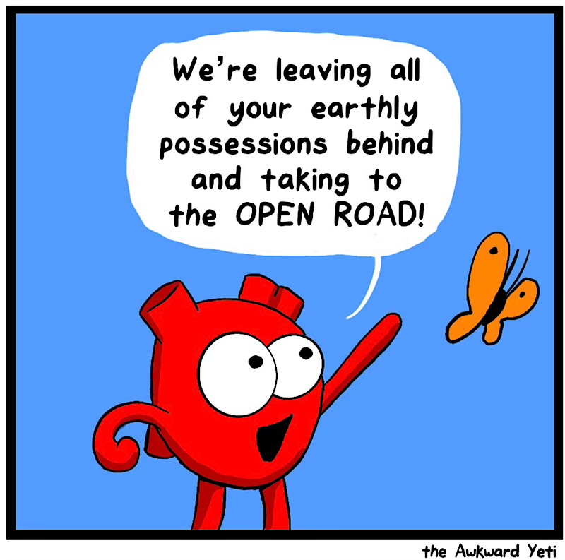 https://cdn.tinyview.com/heart-and-brain/2026/05/26/starting-over/IMG_5241-compressed.jpeg
