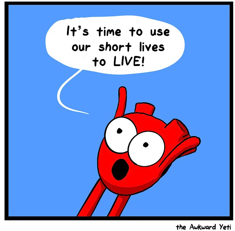 https://cdn.tinyview.com/heart-and-brain/2026/05/26/starting-over/IMG_5242-compressed.jpeg