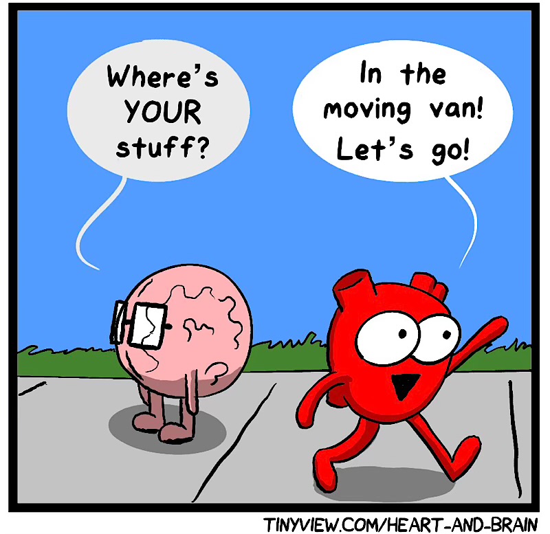 https://cdn.tinyview.com/heart-and-brain/2026/05/26/starting-over/IMG_5243-compressed.jpeg