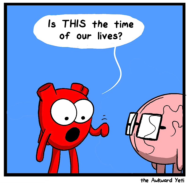 https://cdn.tinyview.com/heart-and-brain/2026/06/01/the-times-are-now/IMG_5320-compressed.jpeg