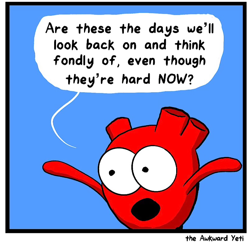https://cdn.tinyview.com/heart-and-brain/2026/06/01/the-times-are-now/IMG_5321-compressed.jpeg