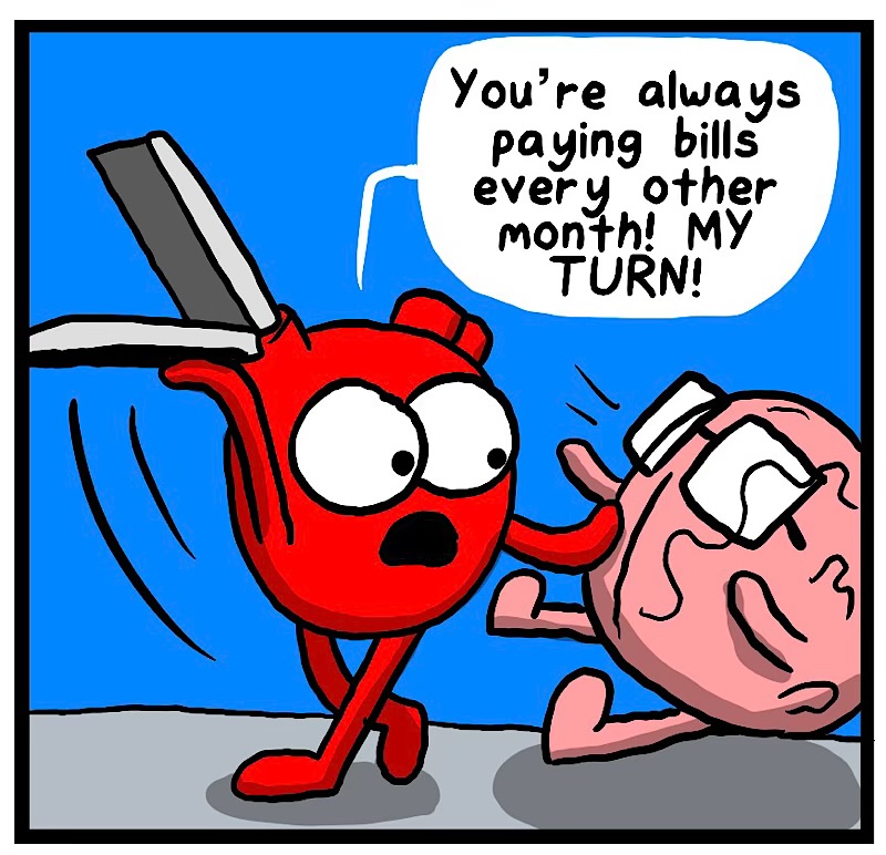 https://cdn.tinyview.com/heart-and-brain/2026/06/04/priorities/IMG_5336-compressed.jpeg
