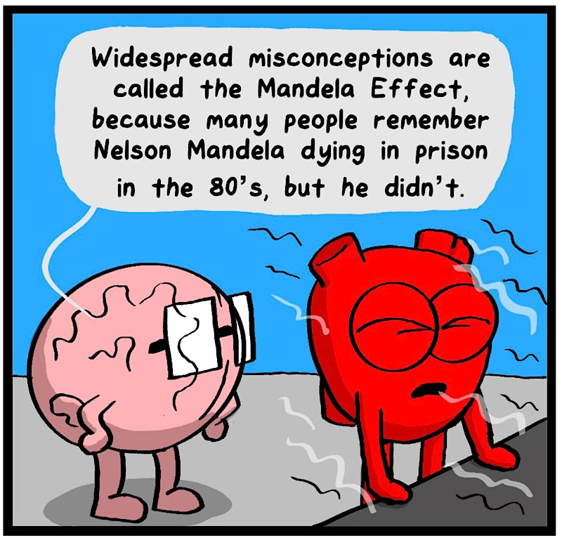 https://cdn.tinyview.com/heart-and-brain/2026/06/07/the-know-it-all-effect/IMG_5348-compressed.jpeg