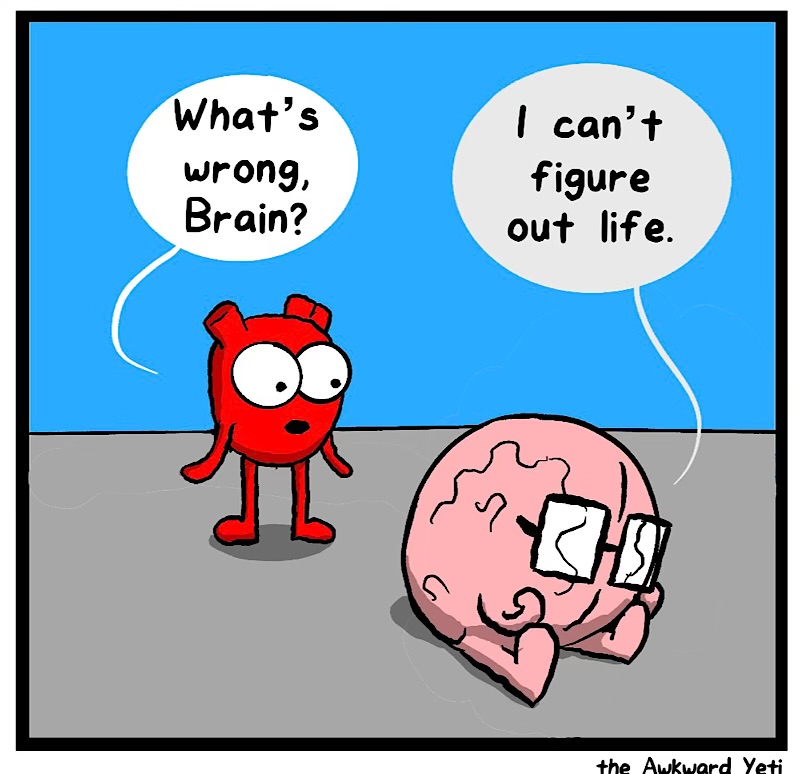 https://cdn.tinyview.com/heart-and-brain/2026/06/11/whims/IMG_5384-compressed.jpeg