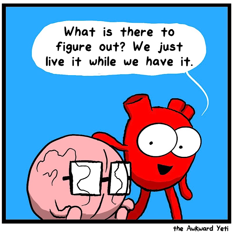 https://cdn.tinyview.com/heart-and-brain/2026/06/11/whims/IMG_5385-compressed.jpeg