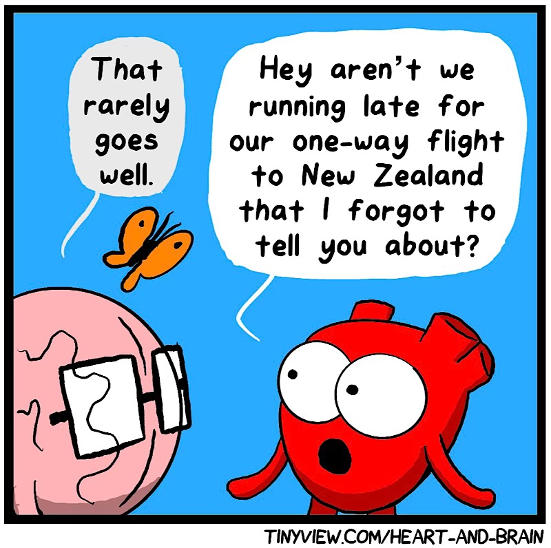 https://cdn.tinyview.com/heart-and-brain/2026/06/11/whims/IMG_5387-compressed.jpeg