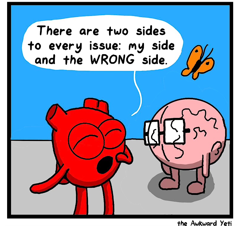 https://cdn.tinyview.com/heart-and-brain/2026/06/14/the-right-stuff/IMG_5397-compressed.jpeg