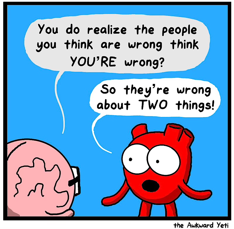 https://cdn.tinyview.com/heart-and-brain/2026/06/14/the-right-stuff/IMG_5398-compressed.jpeg
