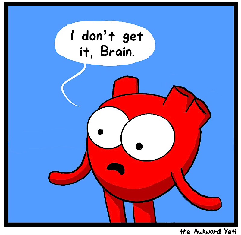 https://cdn.tinyview.com/heart-and-brain/2026/06/21/the-power-of-positivity/IMG_5431-compressed.jpeg