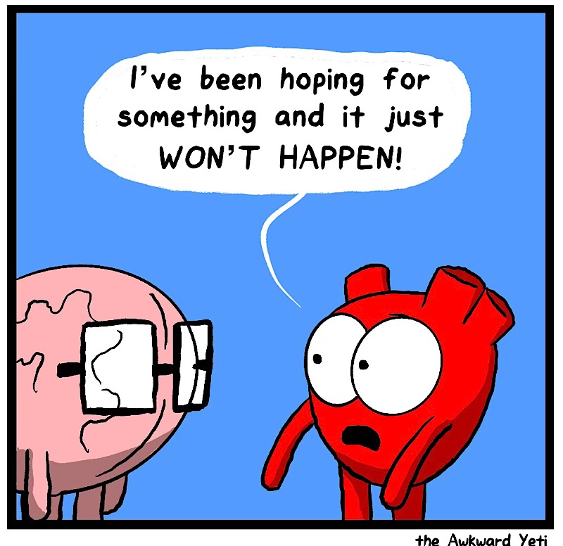 https://cdn.tinyview.com/heart-and-brain/2026/06/21/the-power-of-positivity/IMG_5432-compressed.jpeg