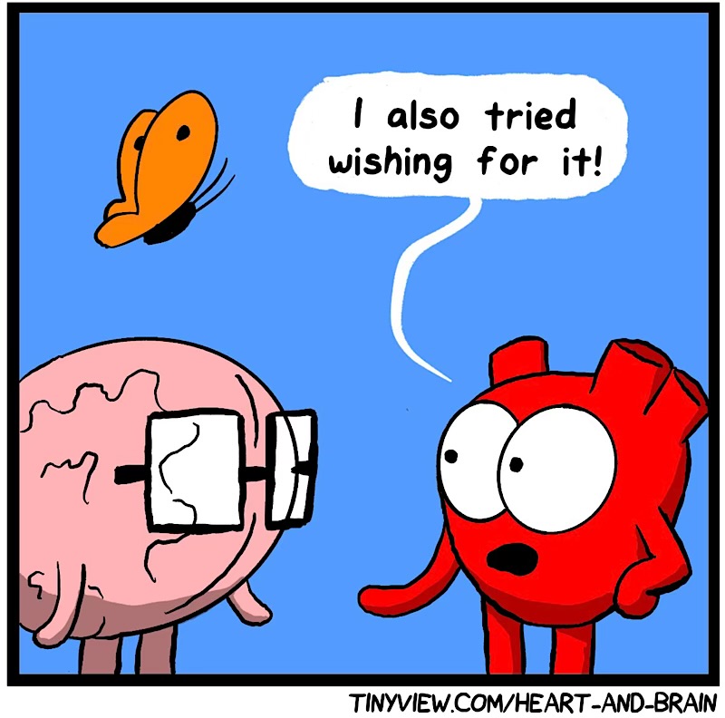 https://cdn.tinyview.com/heart-and-brain/2026/06/21/the-power-of-positivity/IMG_5435-compressed.jpeg