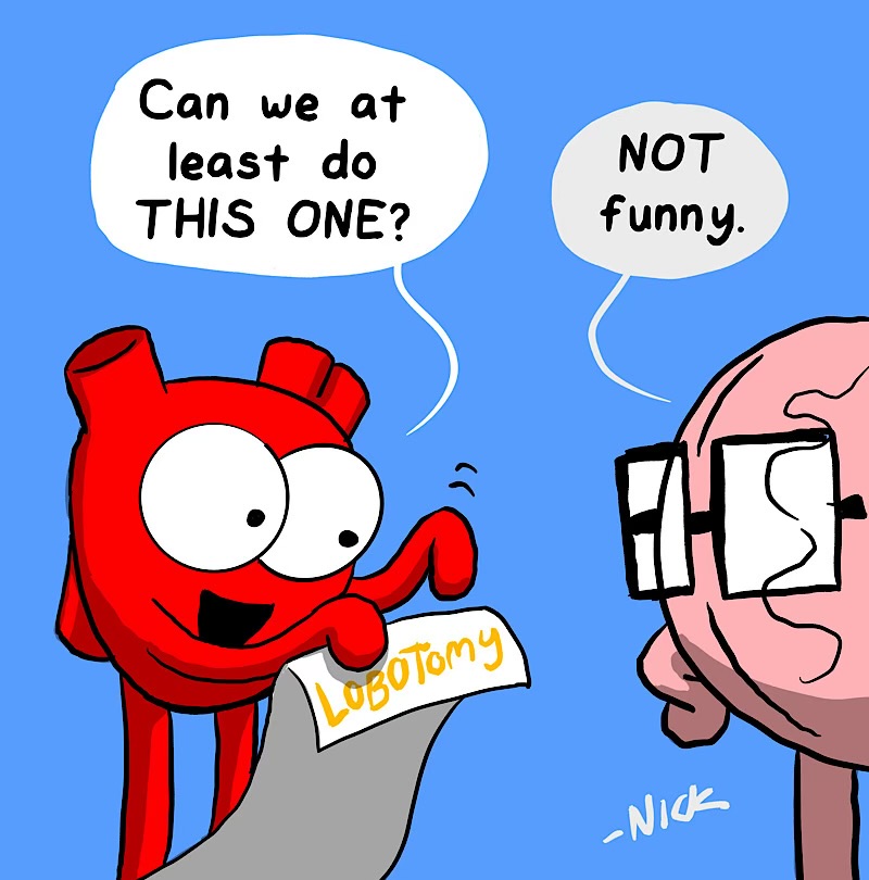 https://cdn.tinyview.com/heart-and-brain/2026/06/24/summer-of-heart/IMG_5471-compressed.jpeg