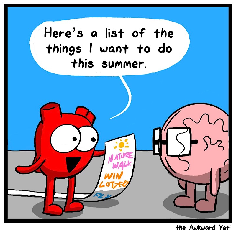https://cdn.tinyview.com/heart-and-brain/2026/06/24/summer-of-heart/IMG_5472-compressed.jpeg