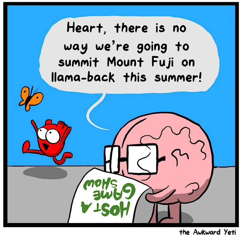 https://cdn.tinyview.com/heart-and-brain/2026/06/24/summer-of-heart/IMG_5473-compressed.jpeg
