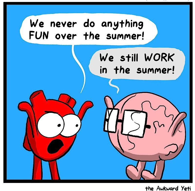 https://cdn.tinyview.com/heart-and-brain/2026/06/24/summer-of-heart/IMG_5474-compressed.jpeg