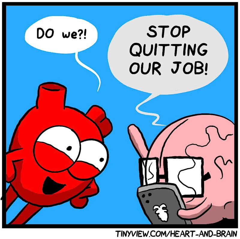https://cdn.tinyview.com/heart-and-brain/2026/06/24/summer-of-heart/IMG_5475-compressed.jpeg