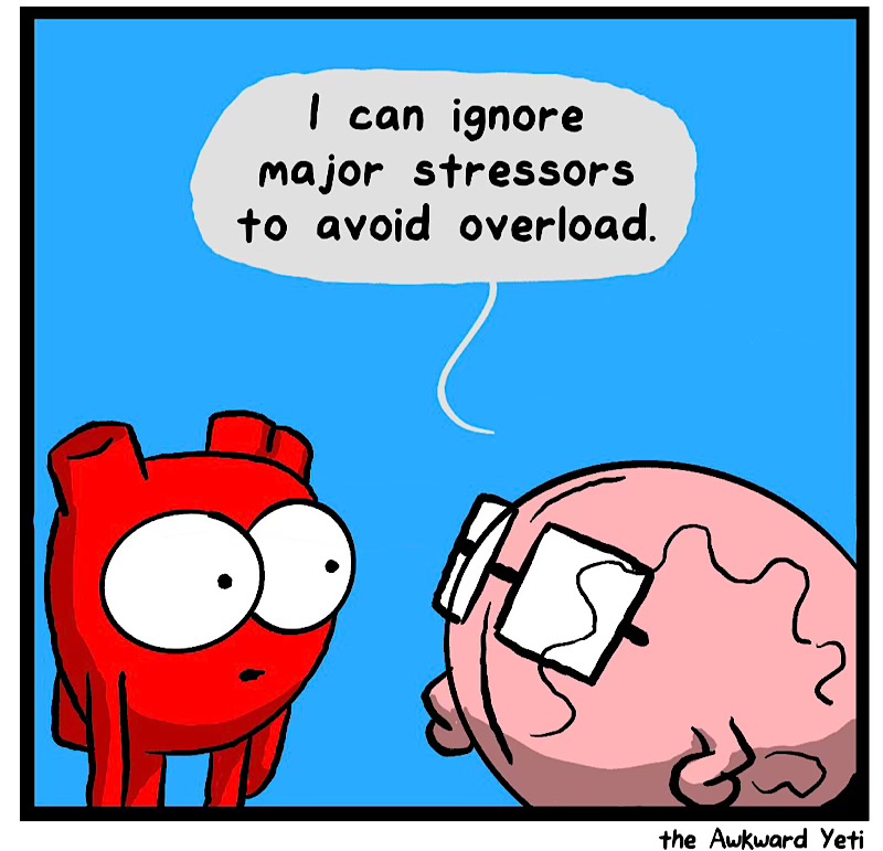 https://cdn.tinyview.com/heart-and-brain/2026/06/30/sensory-gating/IMG_5501-compressed.jpeg
