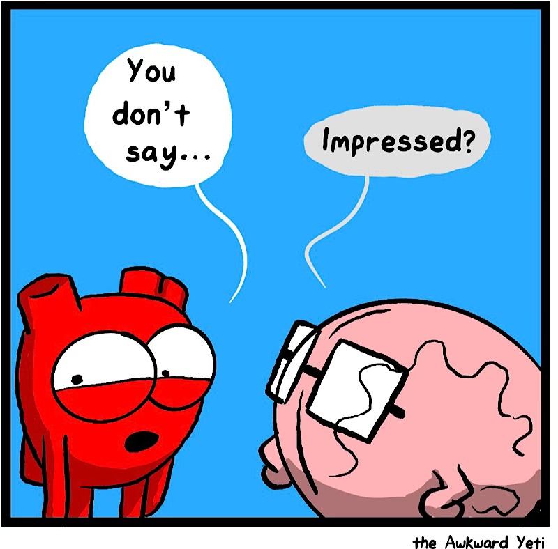 https://cdn.tinyview.com/heart-and-brain/2026/06/30/sensory-gating/IMG_5503-compressed.jpeg