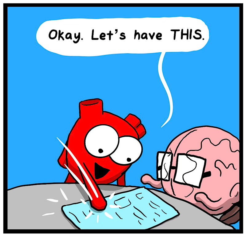 https://cdn.tinyview.com/heart-and-brain/2026/07/07/decision-fatigue/IMG_5555-compressed.jpeg