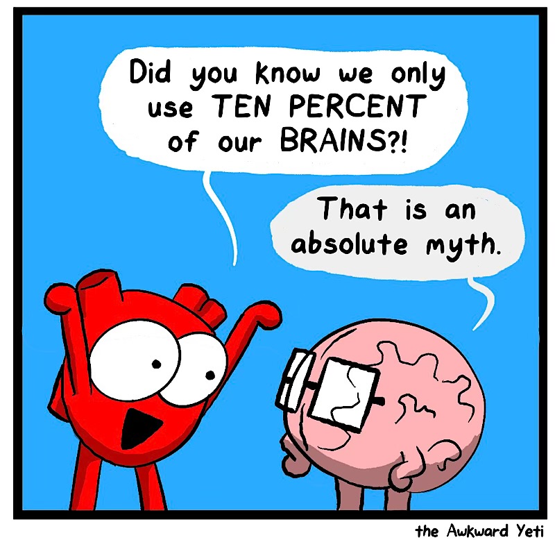 https://cdn.tinyview.com/heart-and-brain/2026/07/14/limitful/IMG_5619-compressed.jpeg