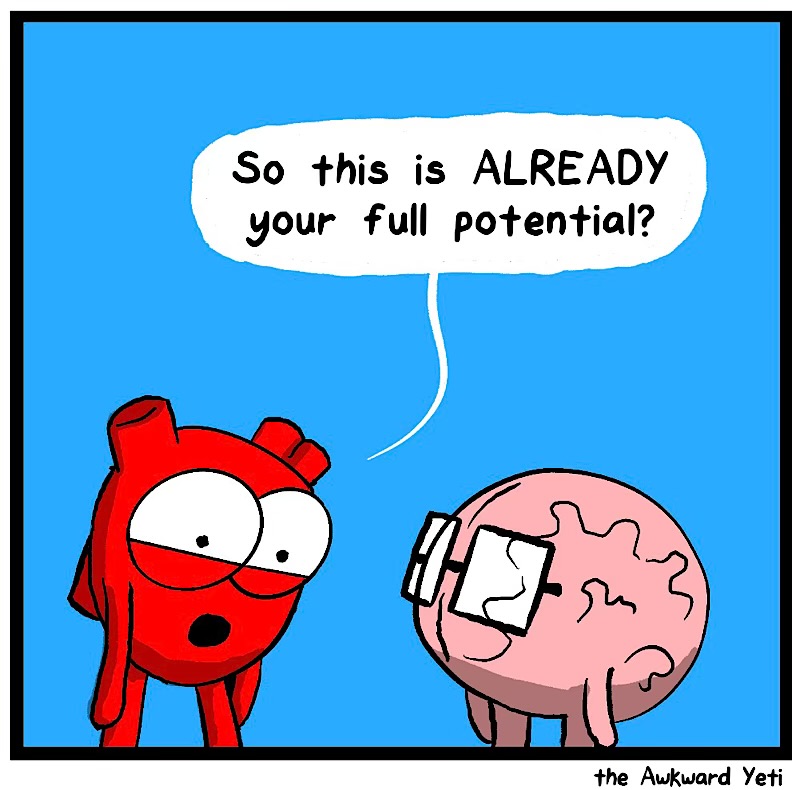 https://cdn.tinyview.com/heart-and-brain/2026/07/14/limitful/IMG_5620-compressed.jpeg