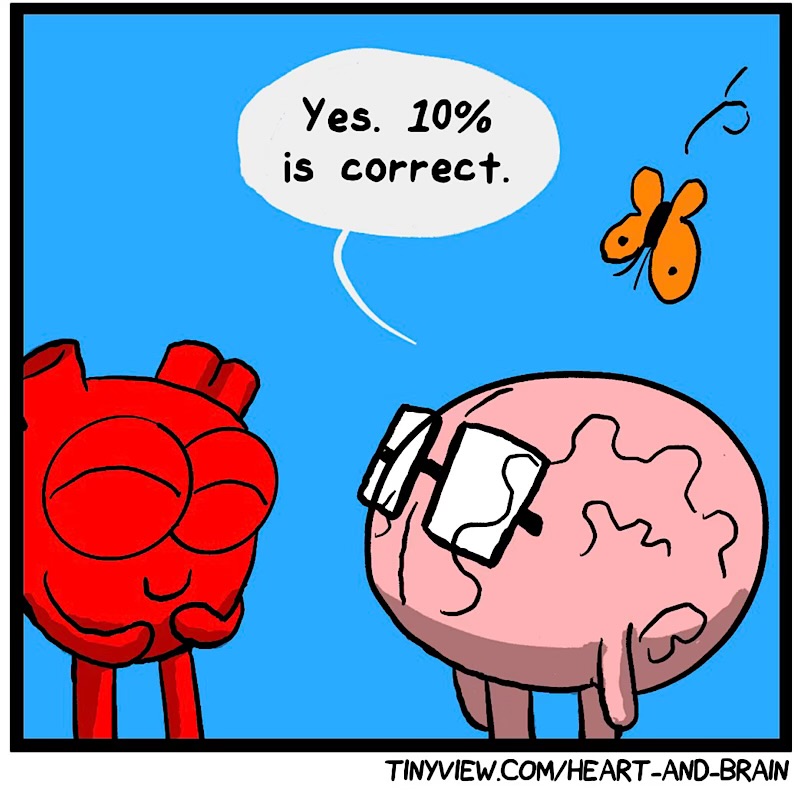 https://cdn.tinyview.com/heart-and-brain/2026/07/14/limitful/IMG_5622-compressed.jpeg