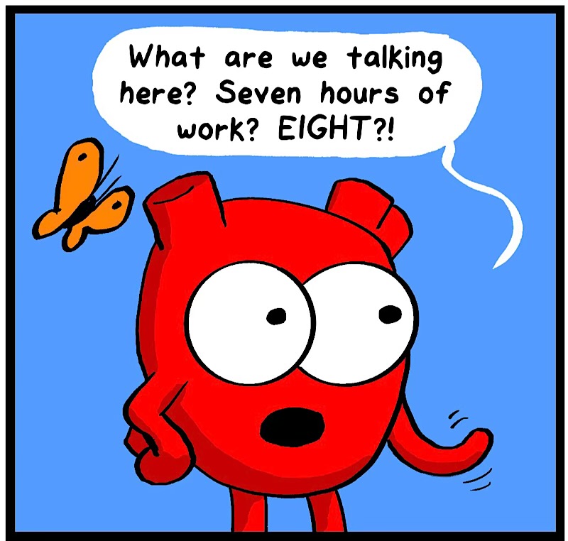 https://cdn.tinyview.com/heart-and-brain/2026/07/19/hobbies-passion-not-included/IMG_5659-compressed.jpeg