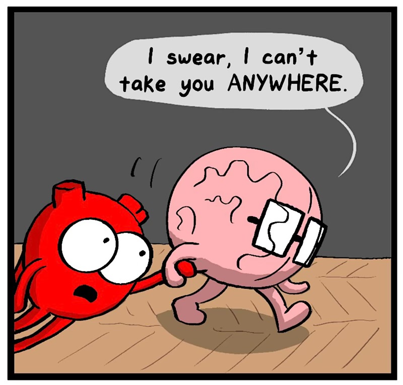 https://cdn.tinyview.com/heart-and-brain/2026/07/26/do-not-touch/IMG_5742-compressed.jpeg