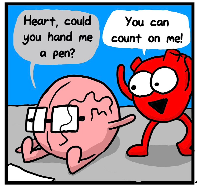 https://cdn.tinyview.com/heart-and-brain/2026/08/06/art-of-distraction/IMG_5825-compressed.jpeg