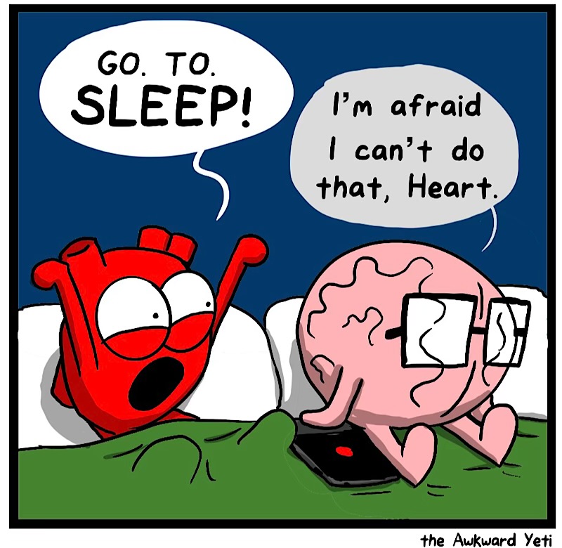 https://cdn.tinyview.com/heart-and-brain/2026/08/08/2026-a-sleep-odyssey/IMG_5850-compressed.jpeg