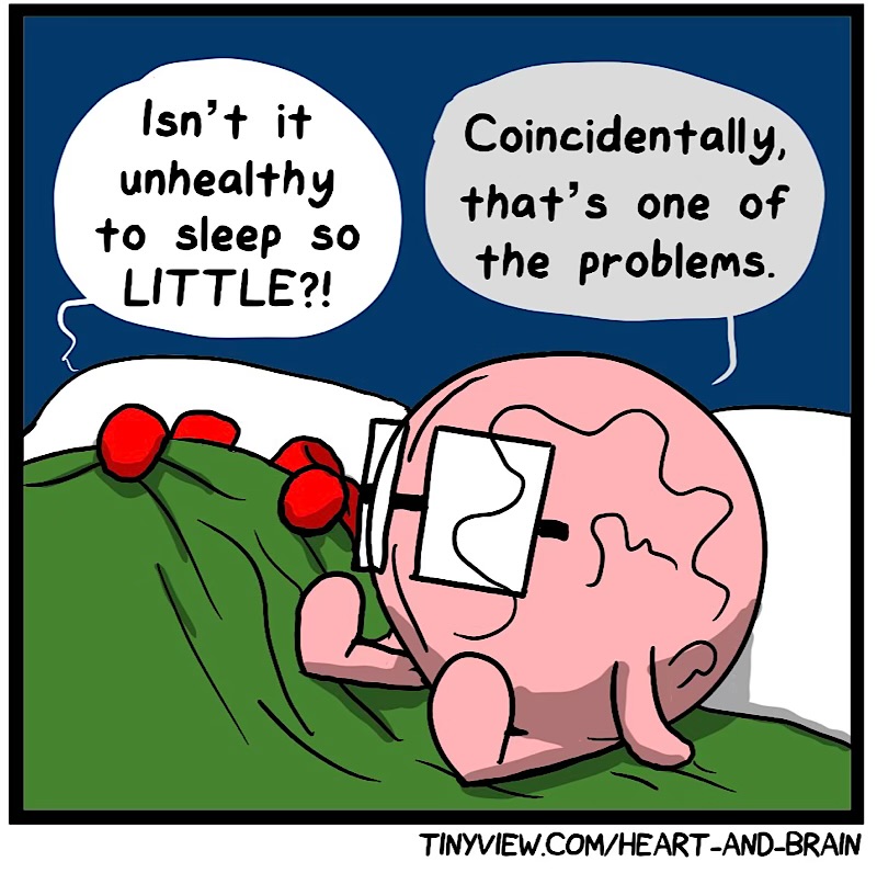 https://cdn.tinyview.com/heart-and-brain/2026/08/08/2026-a-sleep-odyssey/IMG_5853-compressed.jpeg