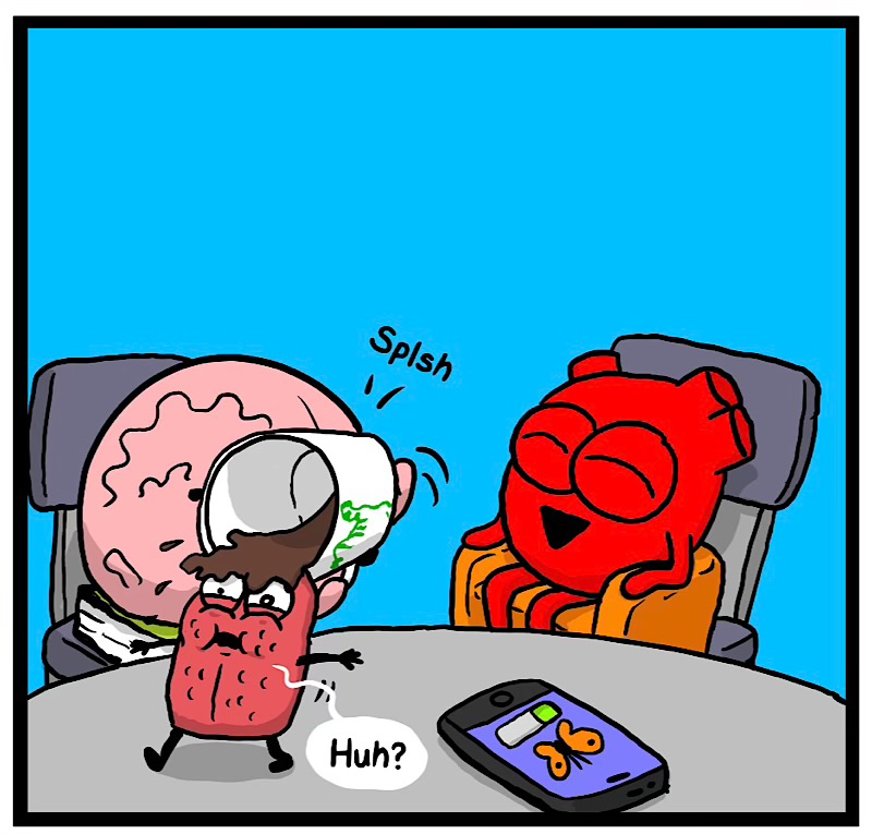 https://cdn.tinyview.com/heart-and-brain/2026/08/13/the-best-part-of-waking-up-and-existing/IMG_5892-compressed.jpeg