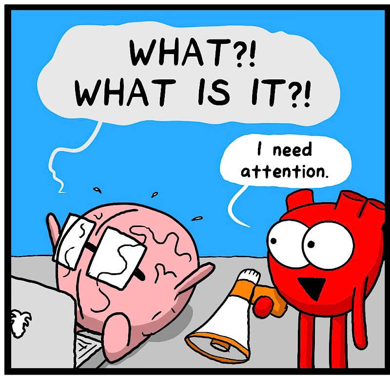 https://cdn.tinyview.com/heart-and-brain/2026/08/20/big-news/IMG_5959-compressed.jpeg