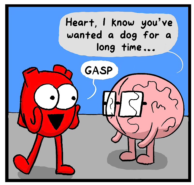 https://cdn.tinyview.com/heart-and-brain/2026/08/23/dot-dog-dog/IMG_5989-compressed.jpeg