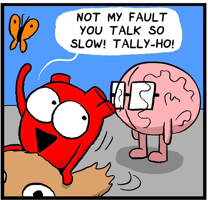 https://cdn.tinyview.com/heart-and-brain/2026/08/23/dot-dog-dog/IMG_5992-compressed.jpeg