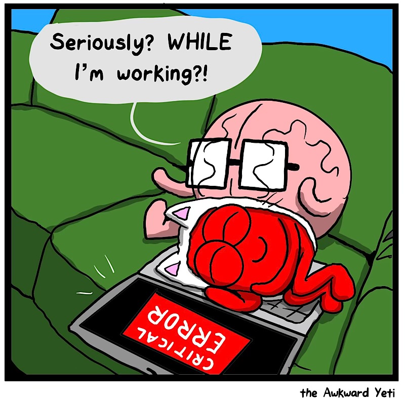 https://cdn.tinyview.com/heart-and-brain/2026/08/25/a-day-in-the-life/IMG_6022-compressed.jpeg