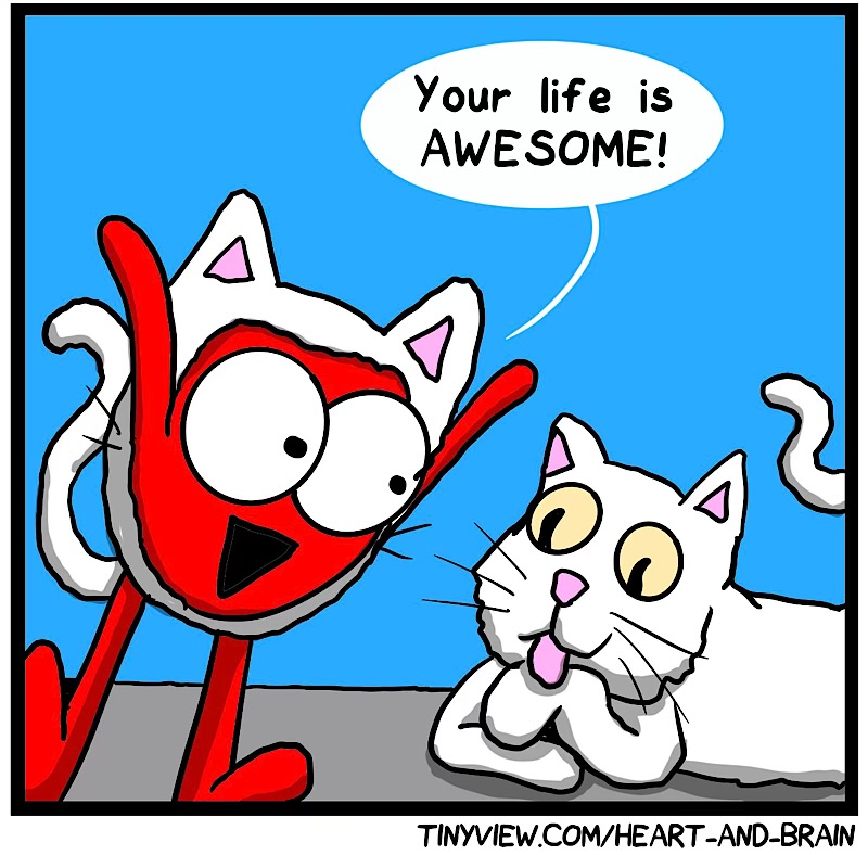 https://cdn.tinyview.com/heart-and-brain/2026/08/25/a-day-in-the-life/IMG_6023-compressed.jpeg
