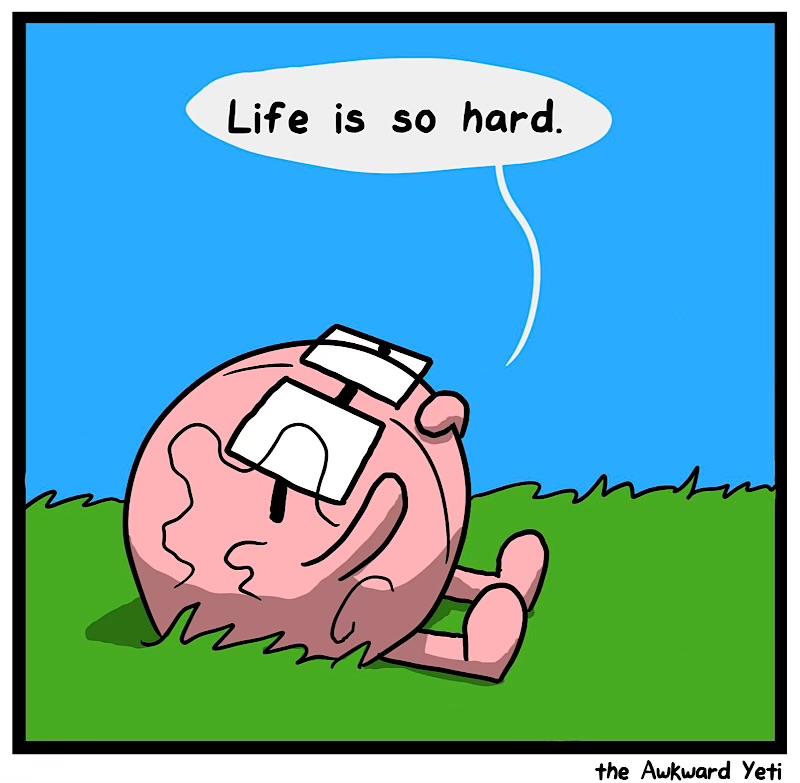 https://cdn.tinyview.com/heart-and-brain/2026/08/27/stop-to-smell-stuff/IMG_6037-compressed.jpeg