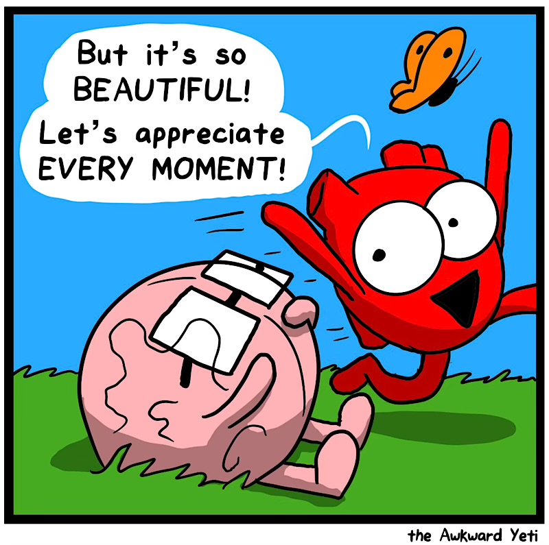 https://cdn.tinyview.com/heart-and-brain/2026/08/27/stop-to-smell-stuff/IMG_6038-compressed.jpeg