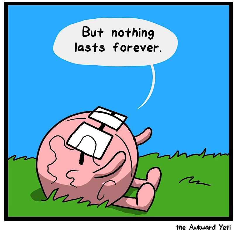 https://cdn.tinyview.com/heart-and-brain/2026/08/27/stop-to-smell-stuff/IMG_6039-compressed.jpeg