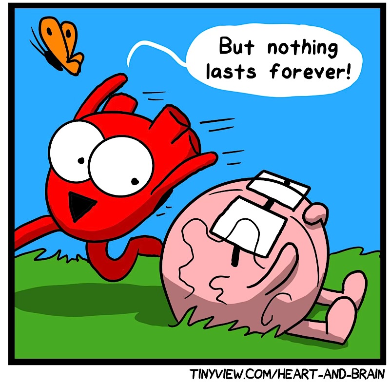 https://cdn.tinyview.com/heart-and-brain/2026/08/27/stop-to-smell-stuff/IMG_6040-compressed.jpeg