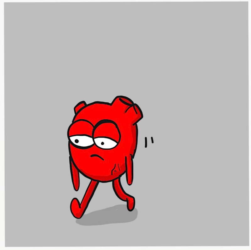 https://cdn.tinyview.com/heart-and-brain/2026/08/30/cat-therapy/IMG_6081-compressed.jpeg