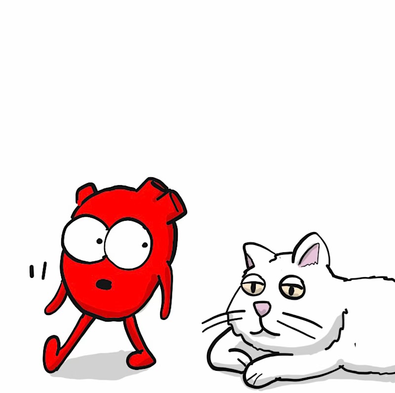 https://cdn.tinyview.com/heart-and-brain/2026/08/30/cat-therapy/IMG_6082-compressed.jpeg