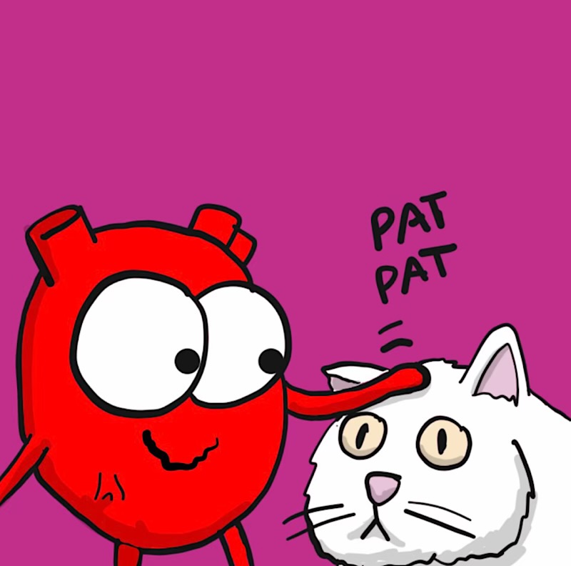 https://cdn.tinyview.com/heart-and-brain/2026/08/30/cat-therapy/IMG_6083-compressed.jpeg