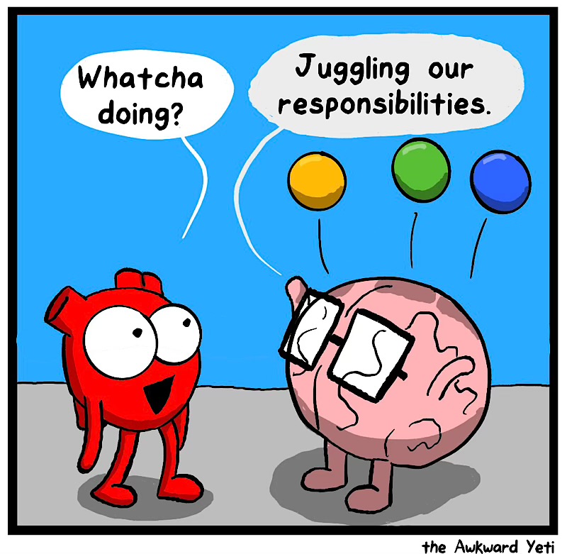 https://cdn.tinyview.com/heart-and-brain/2026/08/31/adult-responsibilities/IMG_6102-compressed.jpeg
